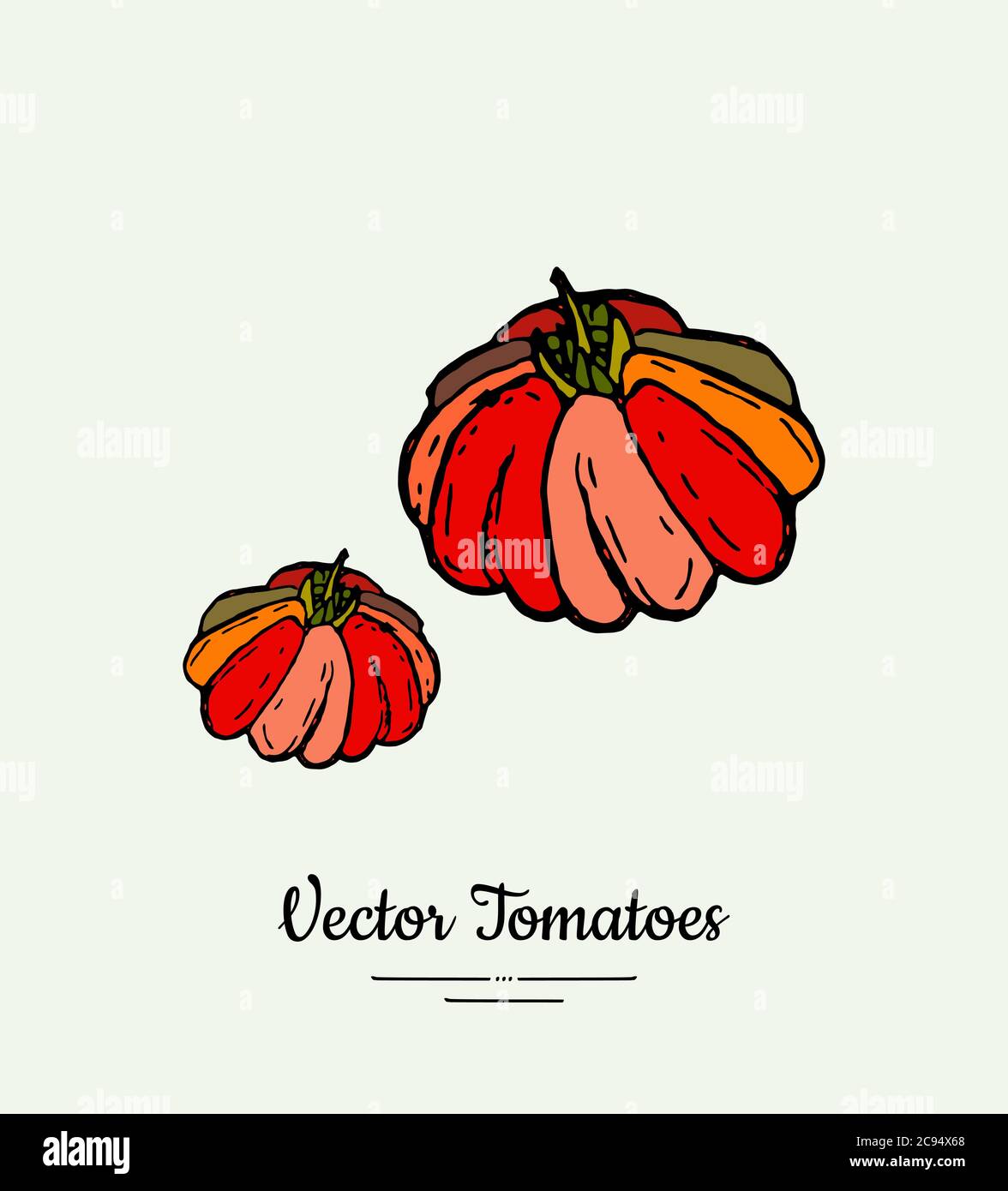 Tomato vegetable vector isolate. Red whole tomatoes. Vegetables hand drawn illustration. Trendy food vegetarian Stock Vector