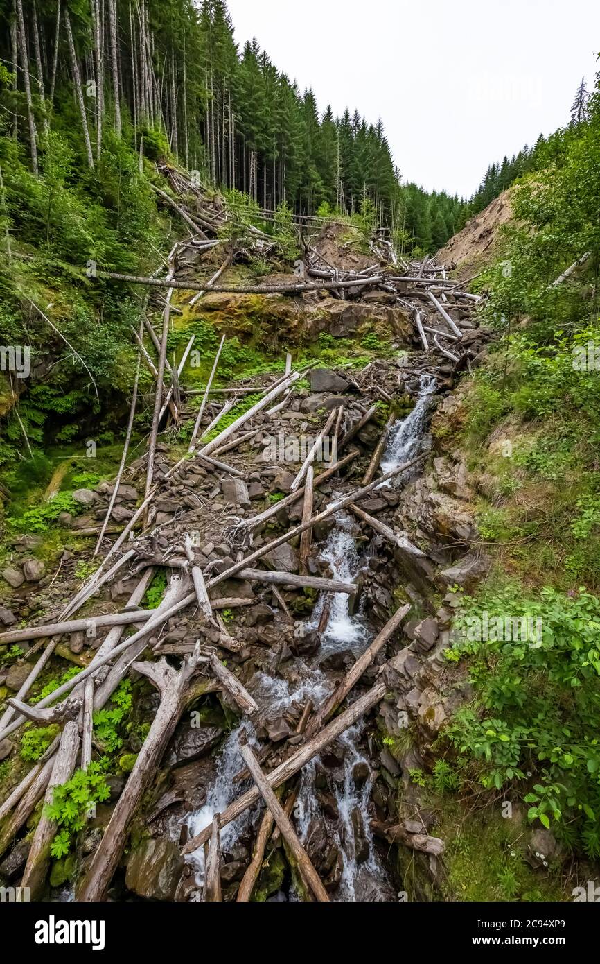 Washout above repaired road, FS25, that damaged the forest and soil in
