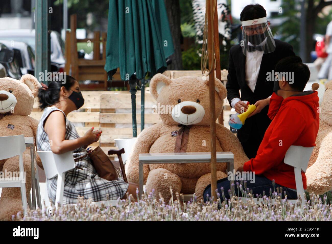 giant teddy bear mexico