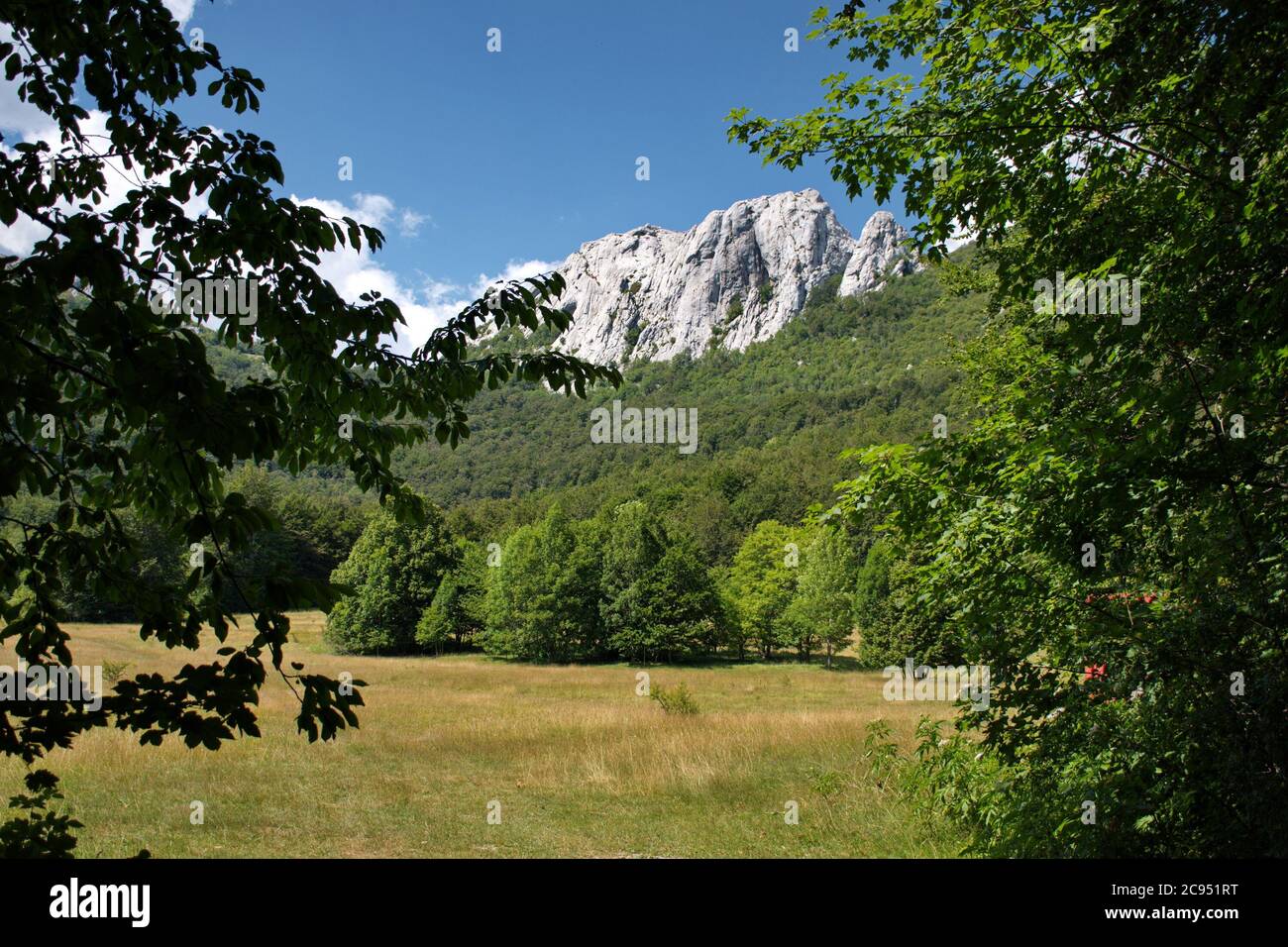 Scenic view of mountain peak through the branches - Velebit mountain, Croatia Stock Photo