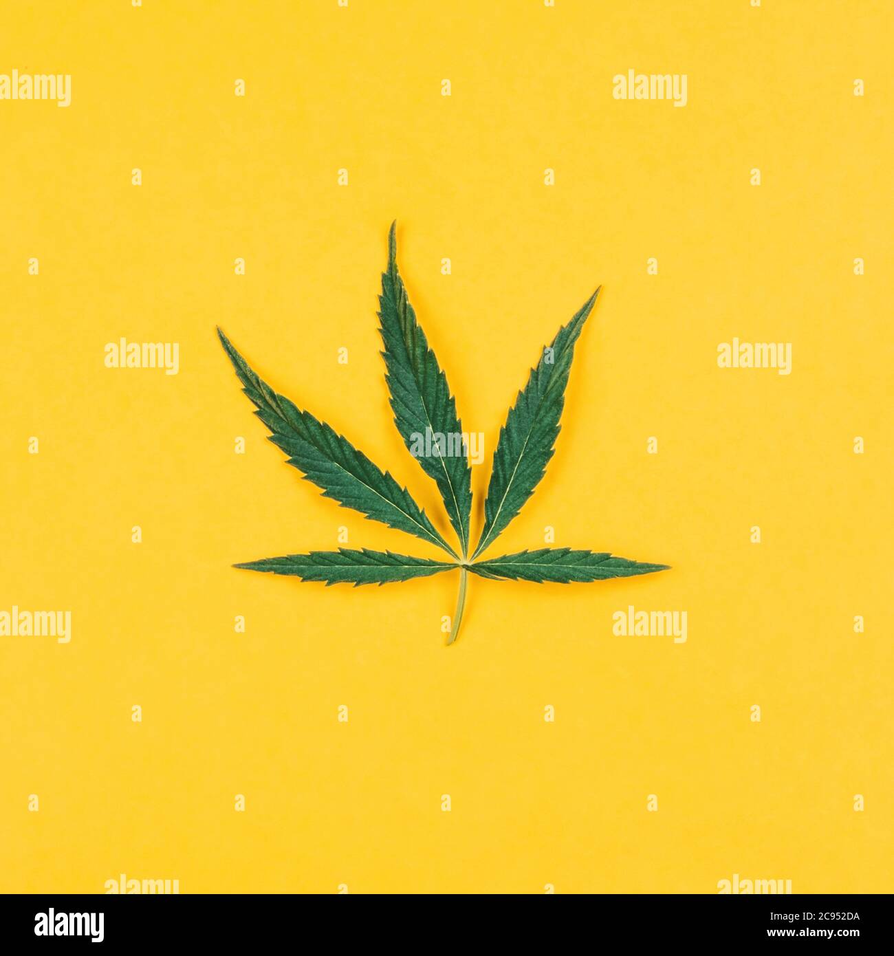 Cannabis Art High Resolution Stock Photography And Images Alamy