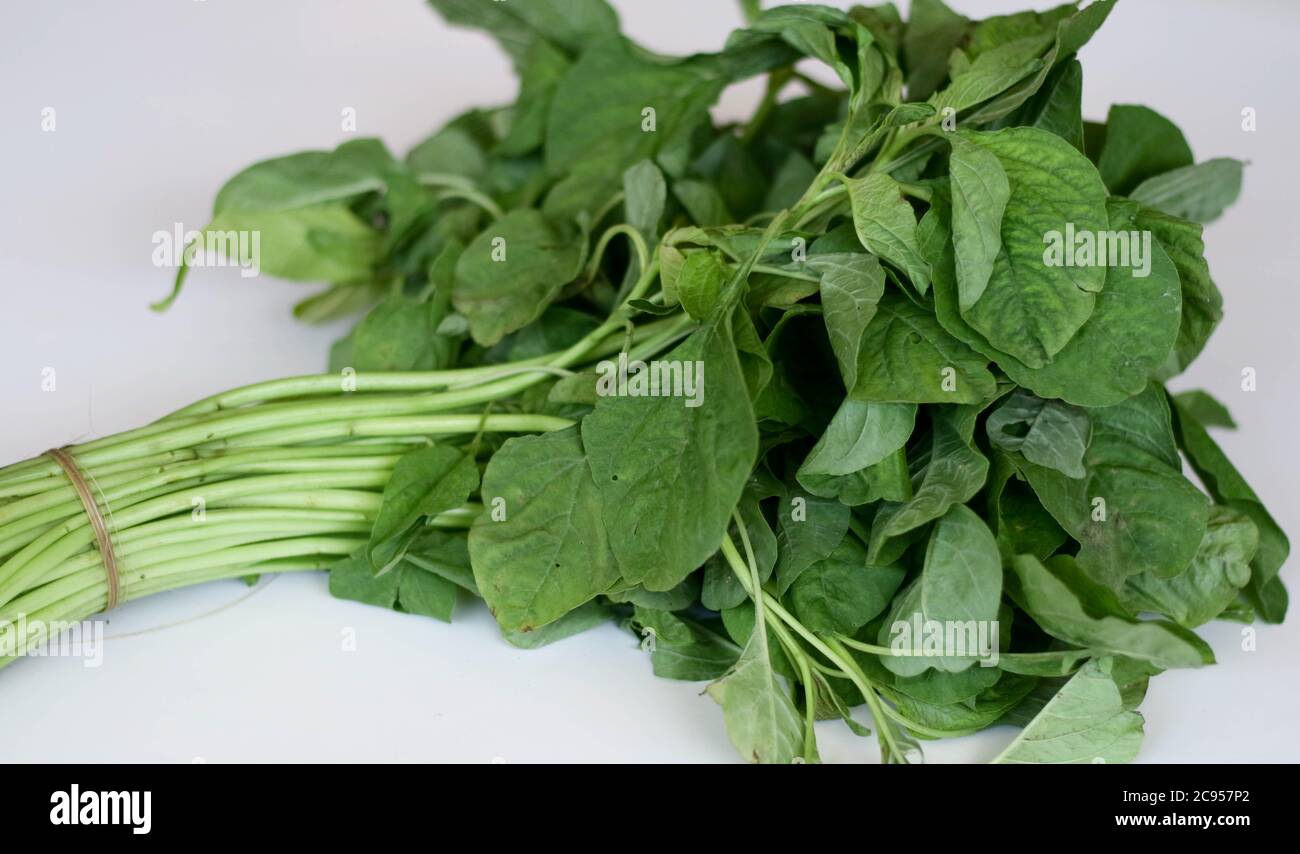 A bundle of fresh spinach on white background Stock Photo - Alamy