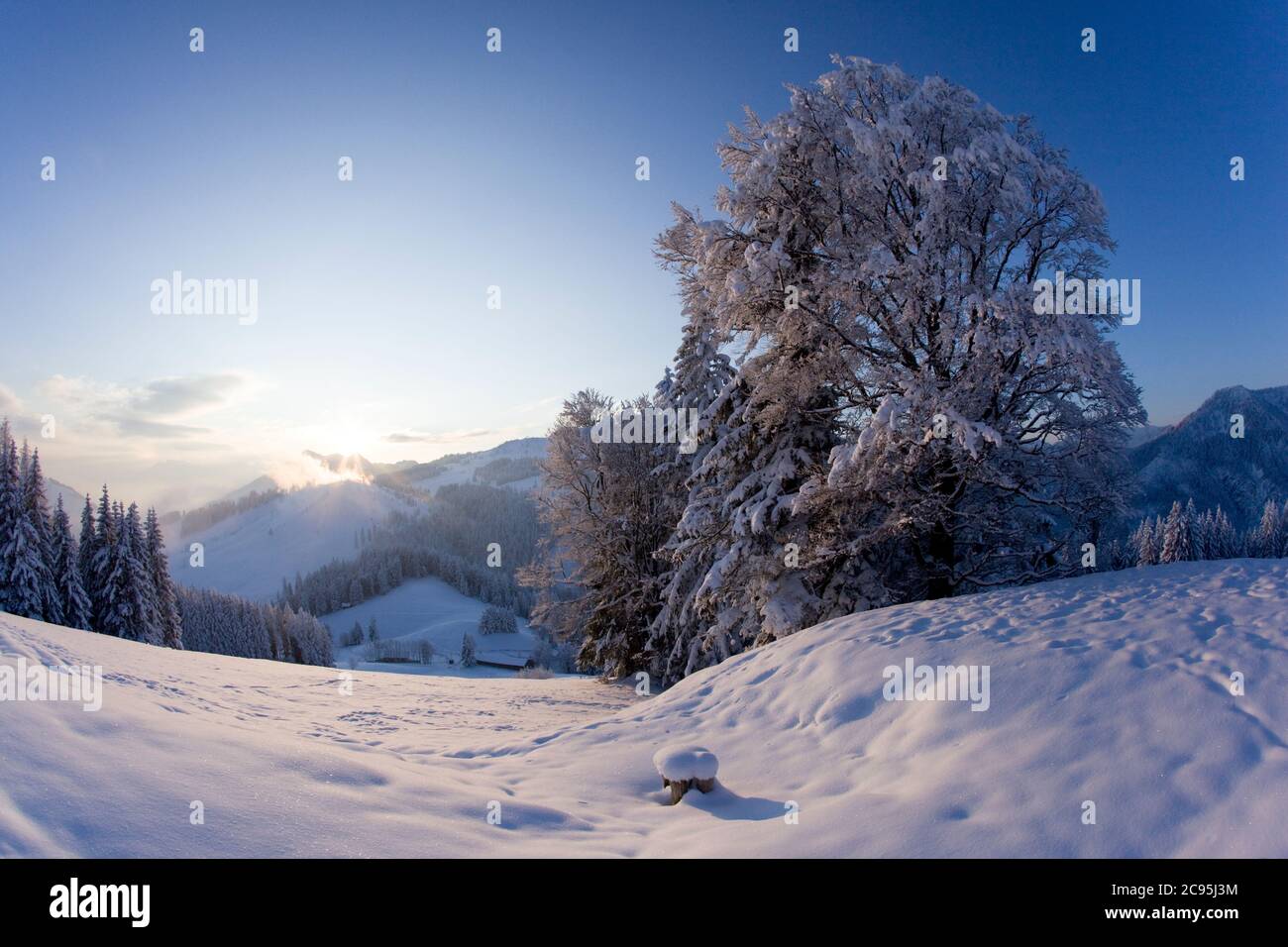 geography / travel, Germany, Bavaria, Mangfall Mountains, morning mood at Mitterberg (peak), Additional-Rights-Clearance-Info-Not-Available Stock Photo