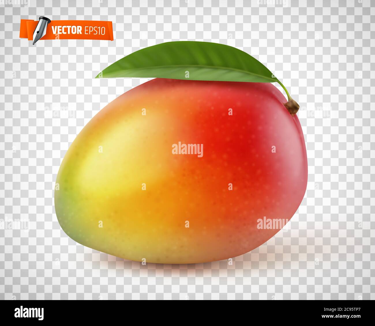 Vector Mango On Transparent Background Stock Vector Image Art Alamy