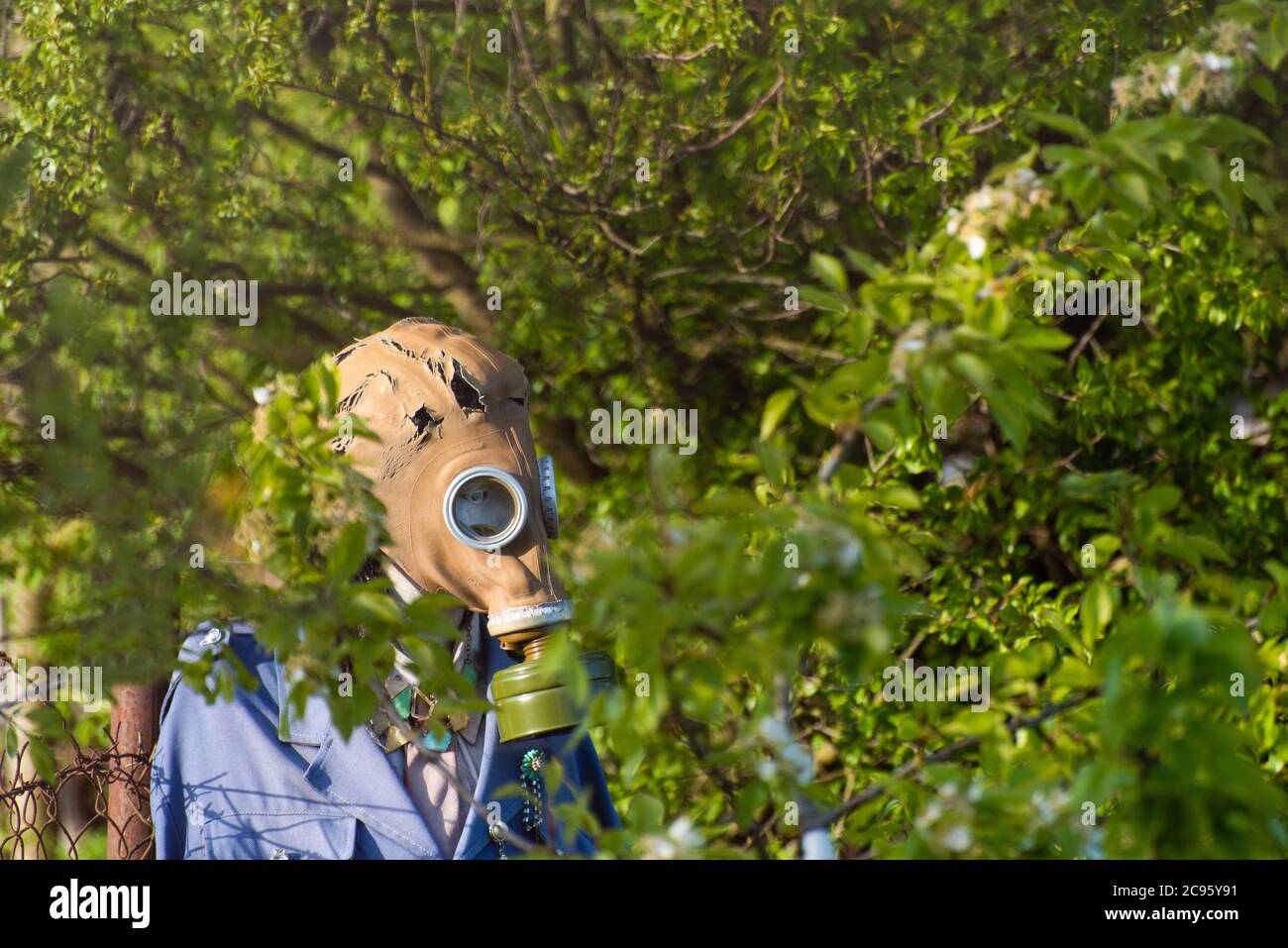 mannequin with a gas mask in the green foliage of trees, symbolizing the problem of air pollution, the global spread of the virus on the planet Stock Photo
