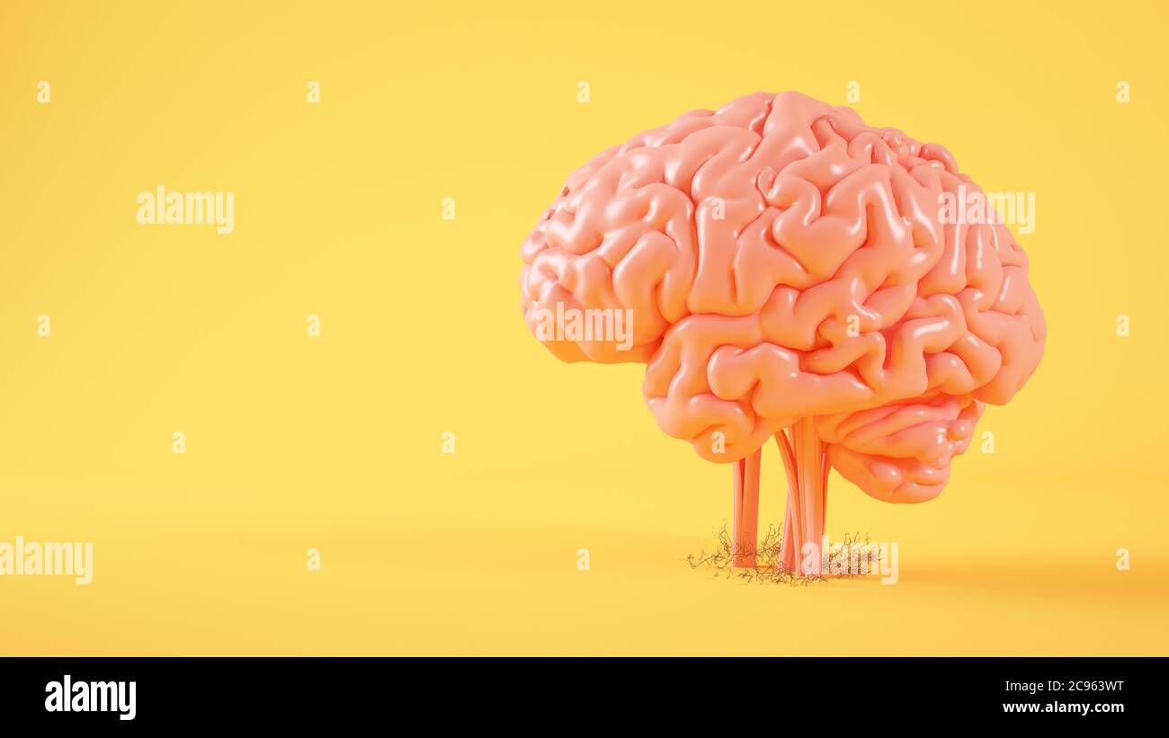 Brain plant sprout concept 3d rendering Stock Photo Alamy