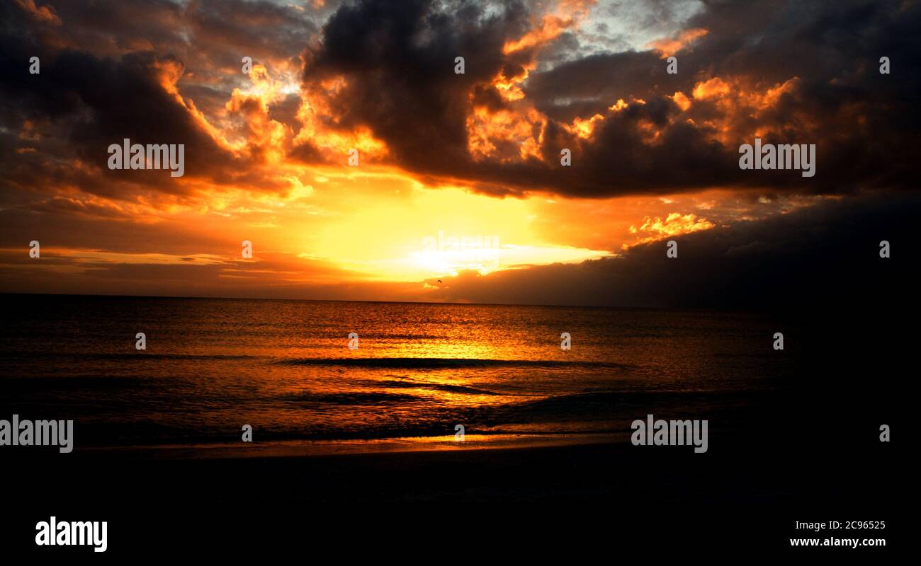 Ocean Stock Photo