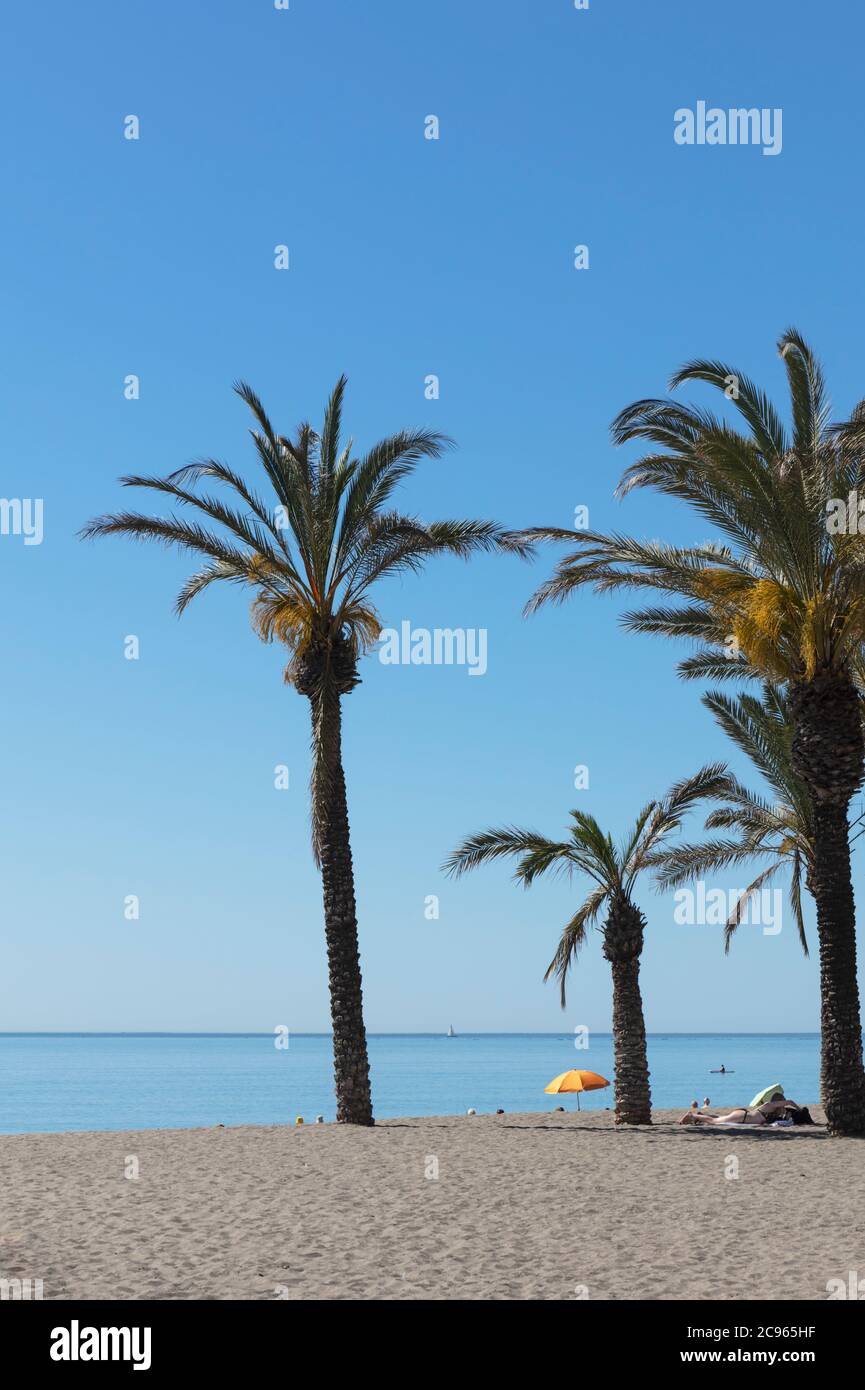Torremolinos, Costa del Sol, Malaga Province, Andalusia, southern Spain. Palm trees and beach umbrella on Playamar beach. Stock Photo
