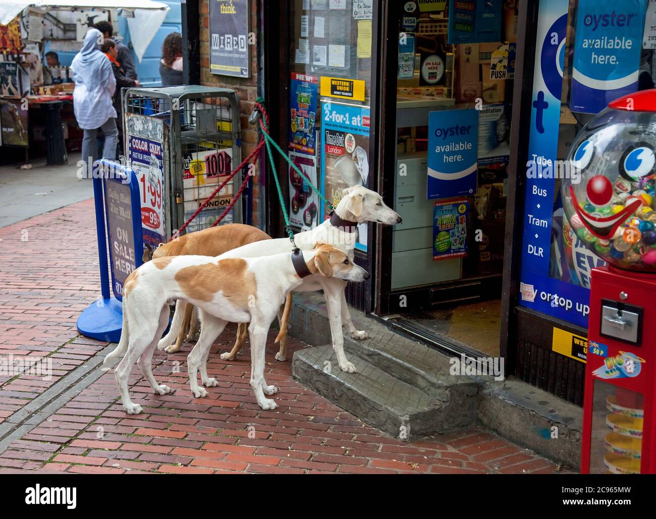 pet shop portobello