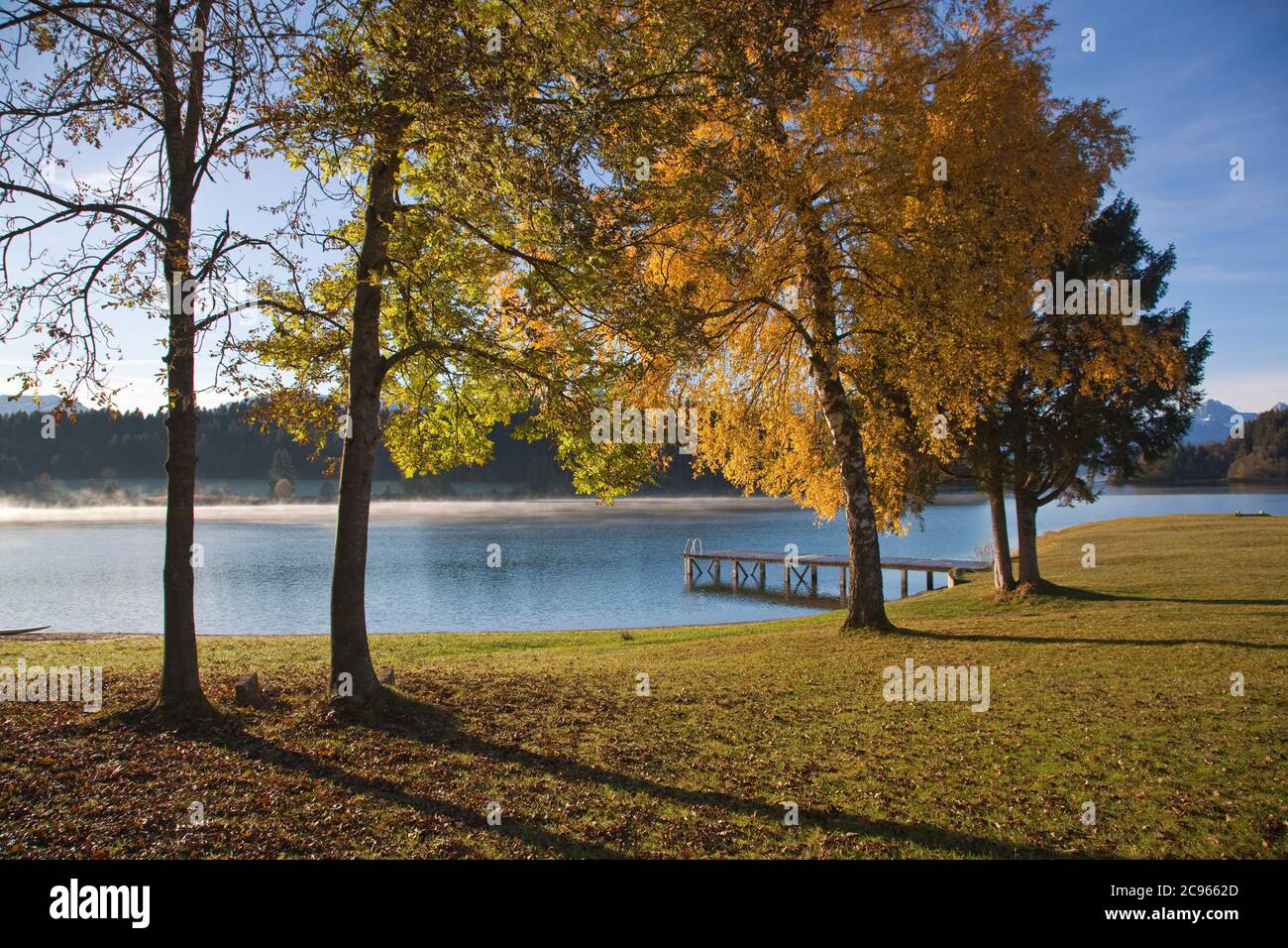 geography / travel, Germany, Bavaria, autumn on the Forggensee, Allgaeu, Alpine Foothills, Swabian, Ea, Additional-Rights-Clearance-Info-Not-Available Stock Photo