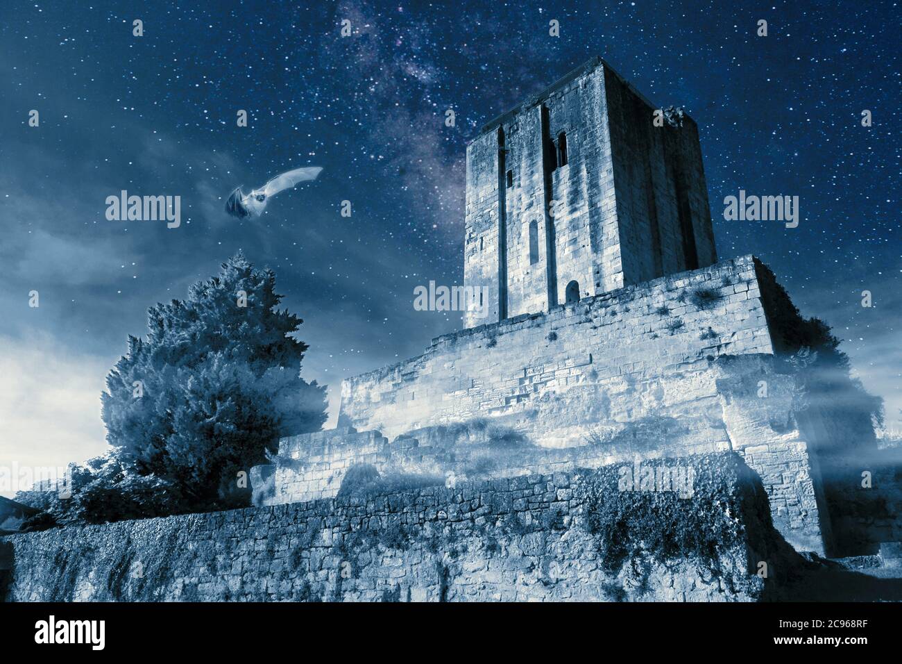Tour du Roy Medieval tower night scene with bat in Saint Emilion France Stock Photo