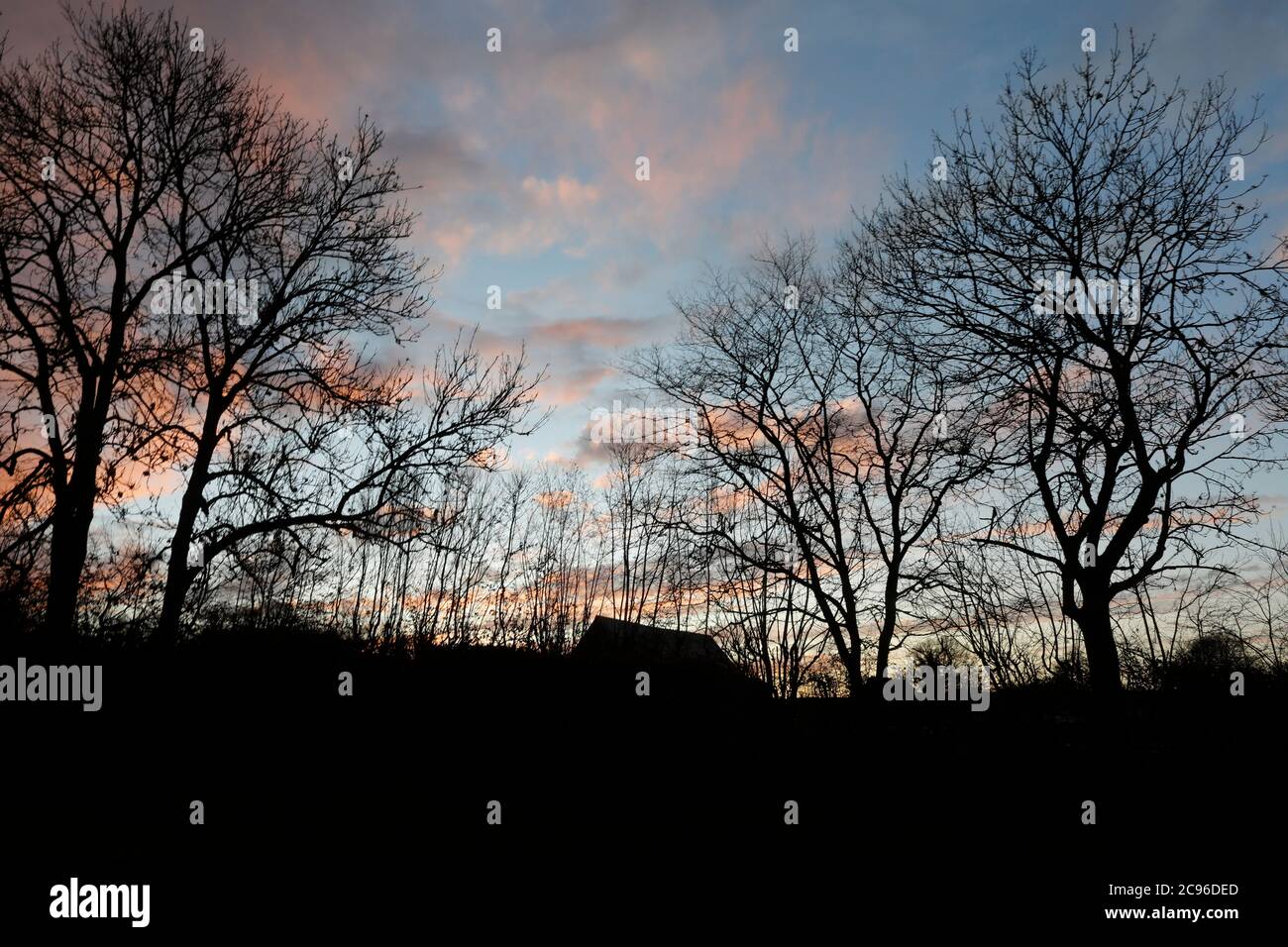 Landscape cloudy sky trees hi-res stock photography and images - Alamy