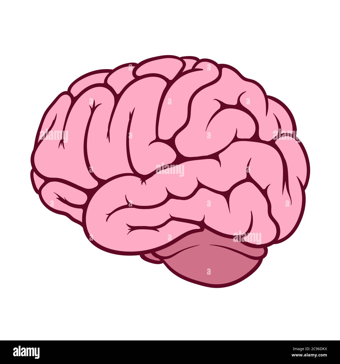 Pink illustration of a human brain Stock Vector Image & Art - Alamy