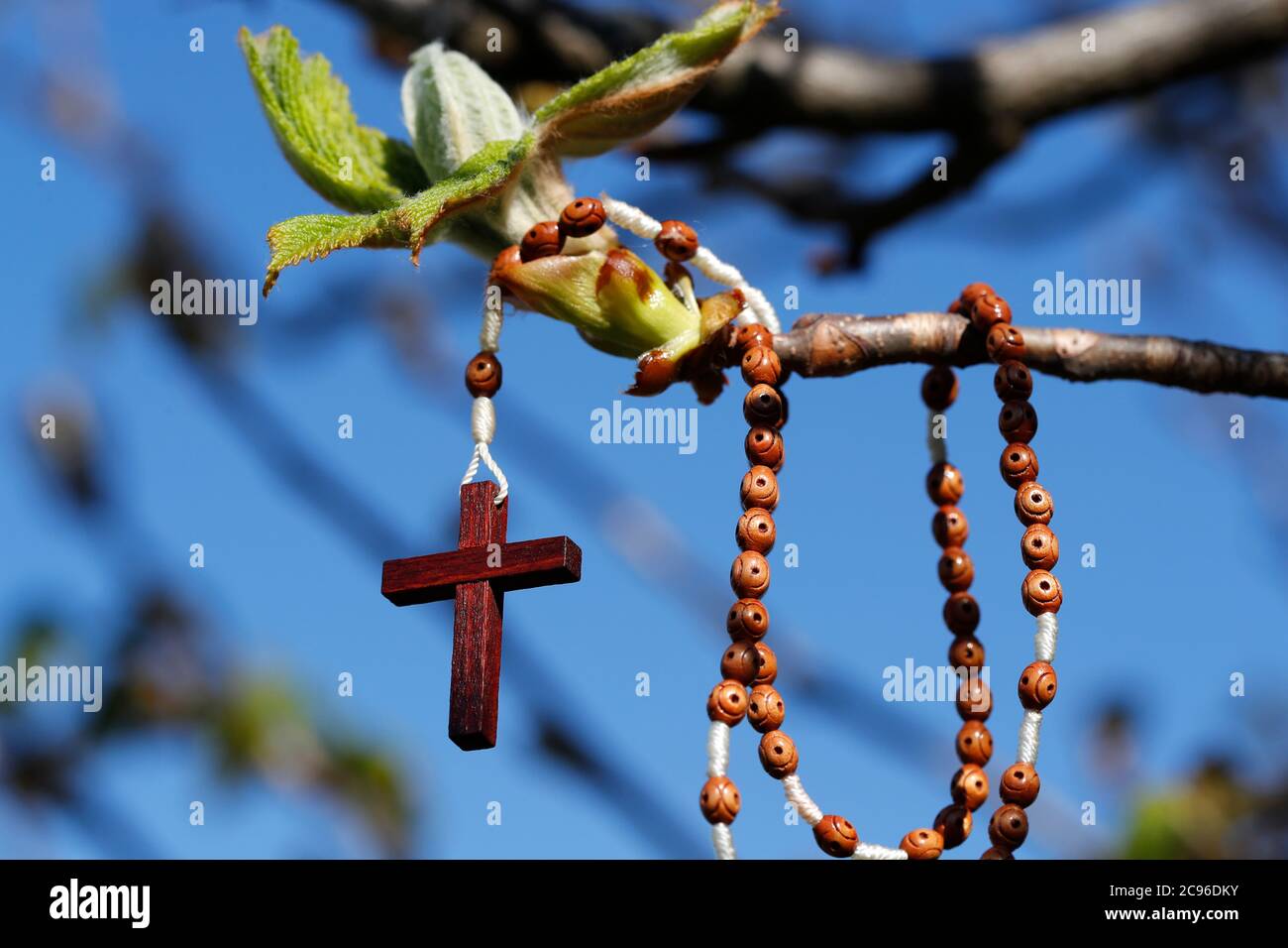 Rosary and bud symbol of life that overcomes obstacles. France. Stock Photo