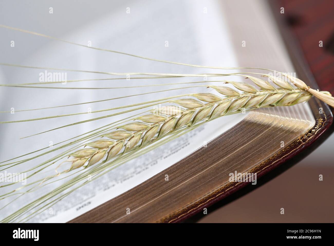 The sacred book of the Bible and ears of wheat as a symbol of spiritual and physical food.  France. Stock Photo