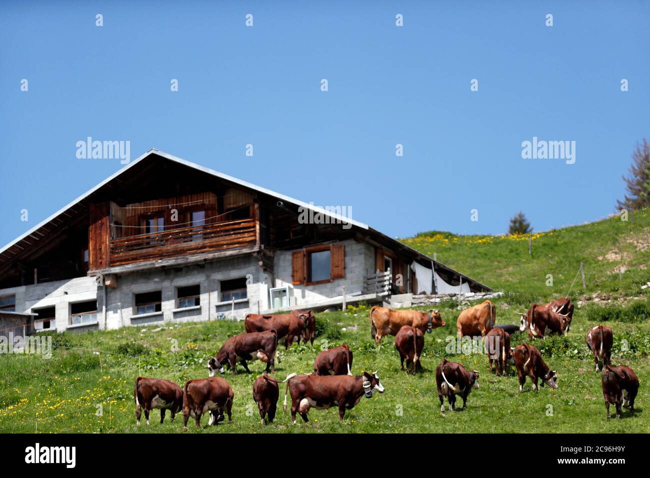 French Alps. Mountain farm  France. Stock Photo