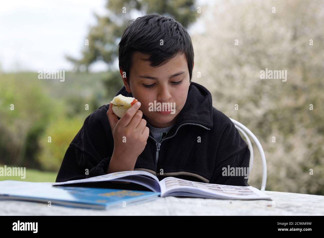 Reading Eating Boy reading and eating an apple in Eure, France Stock Photo - Alamy