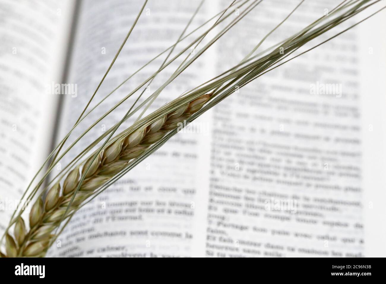 The sacred book of the Bible and ear of wheat as a symbol of spiritual and physical food.  France. Stock Photo