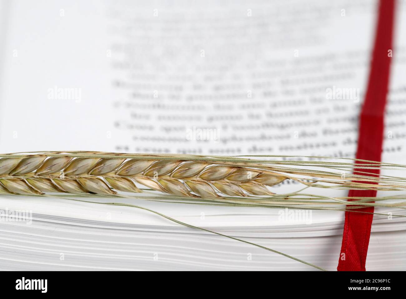 The sacred book of the Bible and ear of wheat as a symbol of spiritual and physical food.  France. Stock Photo