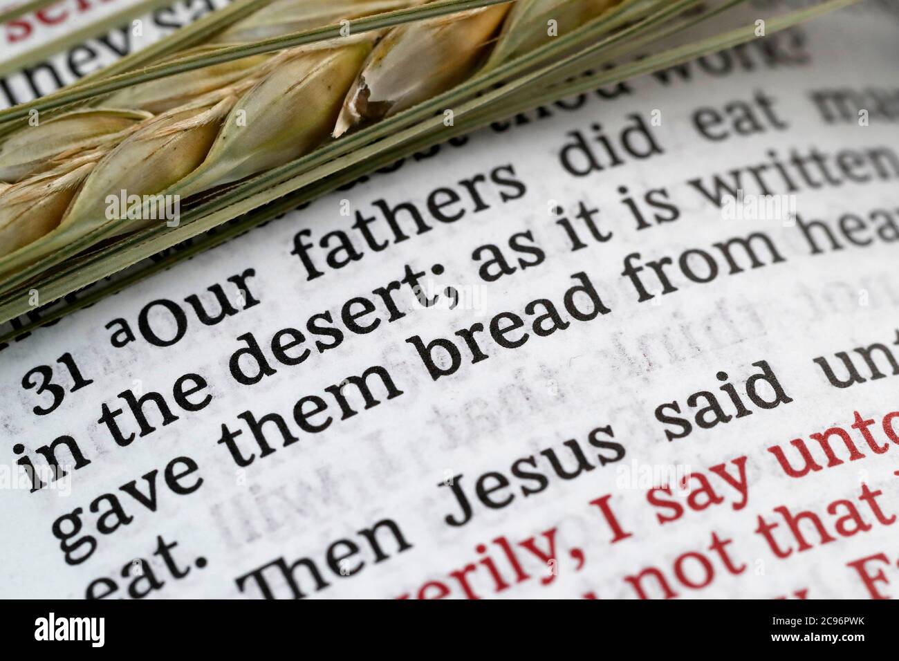Cabbage Scripture The sacred book of the Bible and ear of wheat as a symbol of spiritual ...