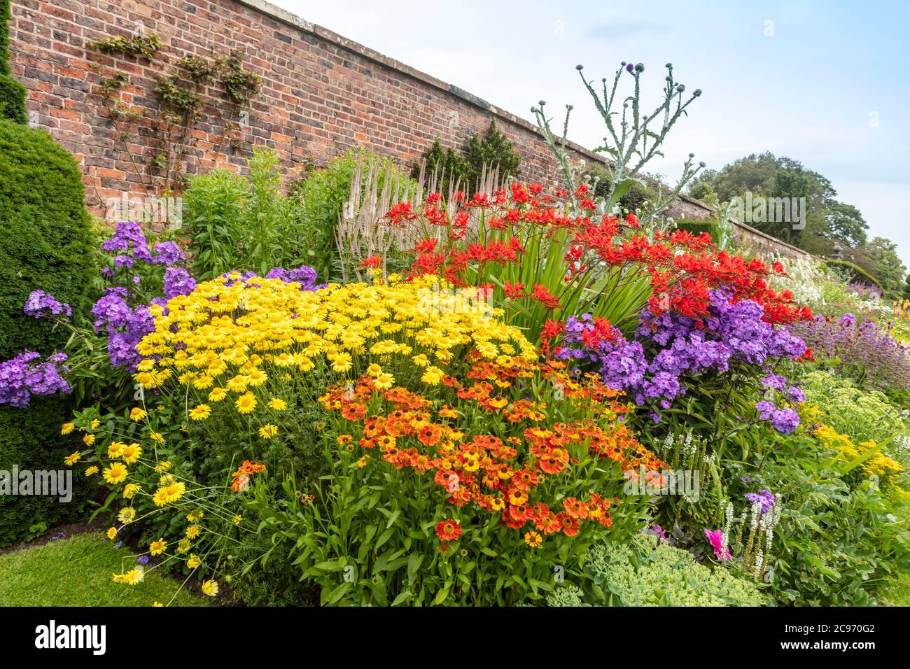Herbaceous border with yellow, red and purple flowers in an established garden. Stock Photo