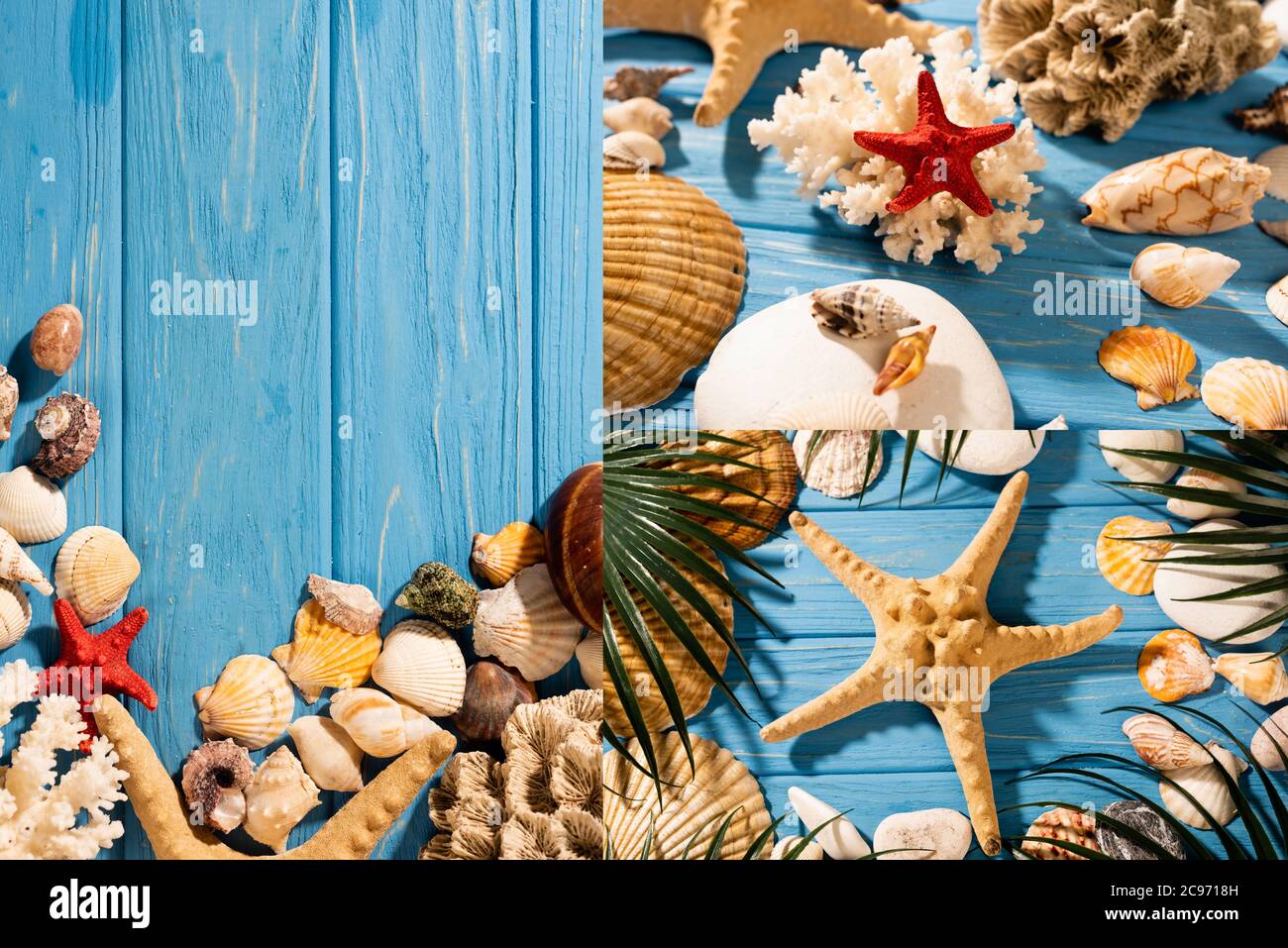 top view of seashells, starfishes, coral and palm leaves on wooden blue ...