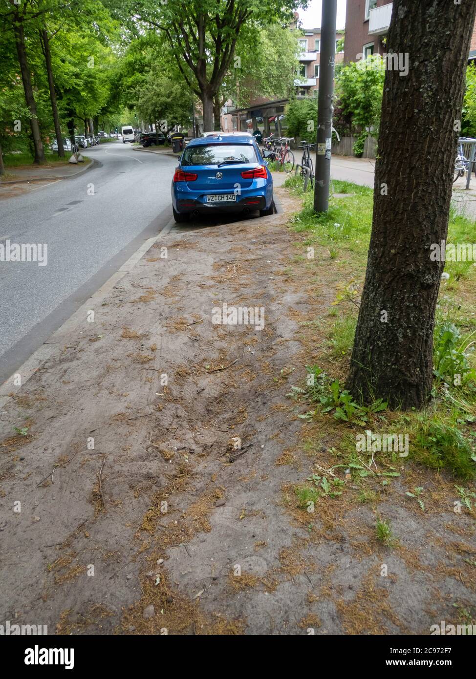 ground compaction from parking cars, Germany, Hamburg Stock Photo