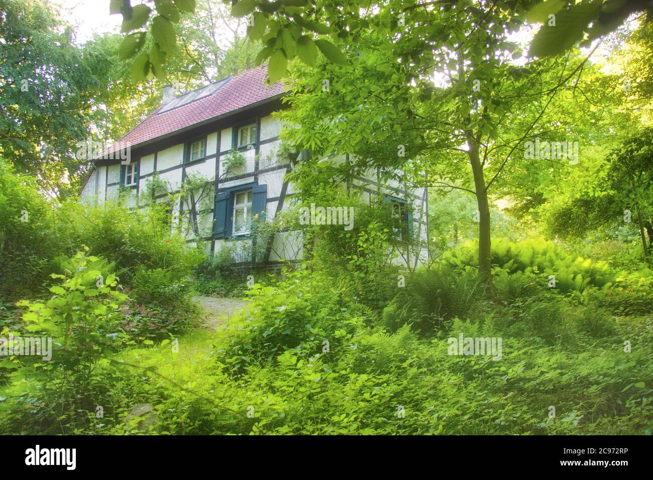 timberframed house at the Rombergpark, Germany, North RhineWestphalia