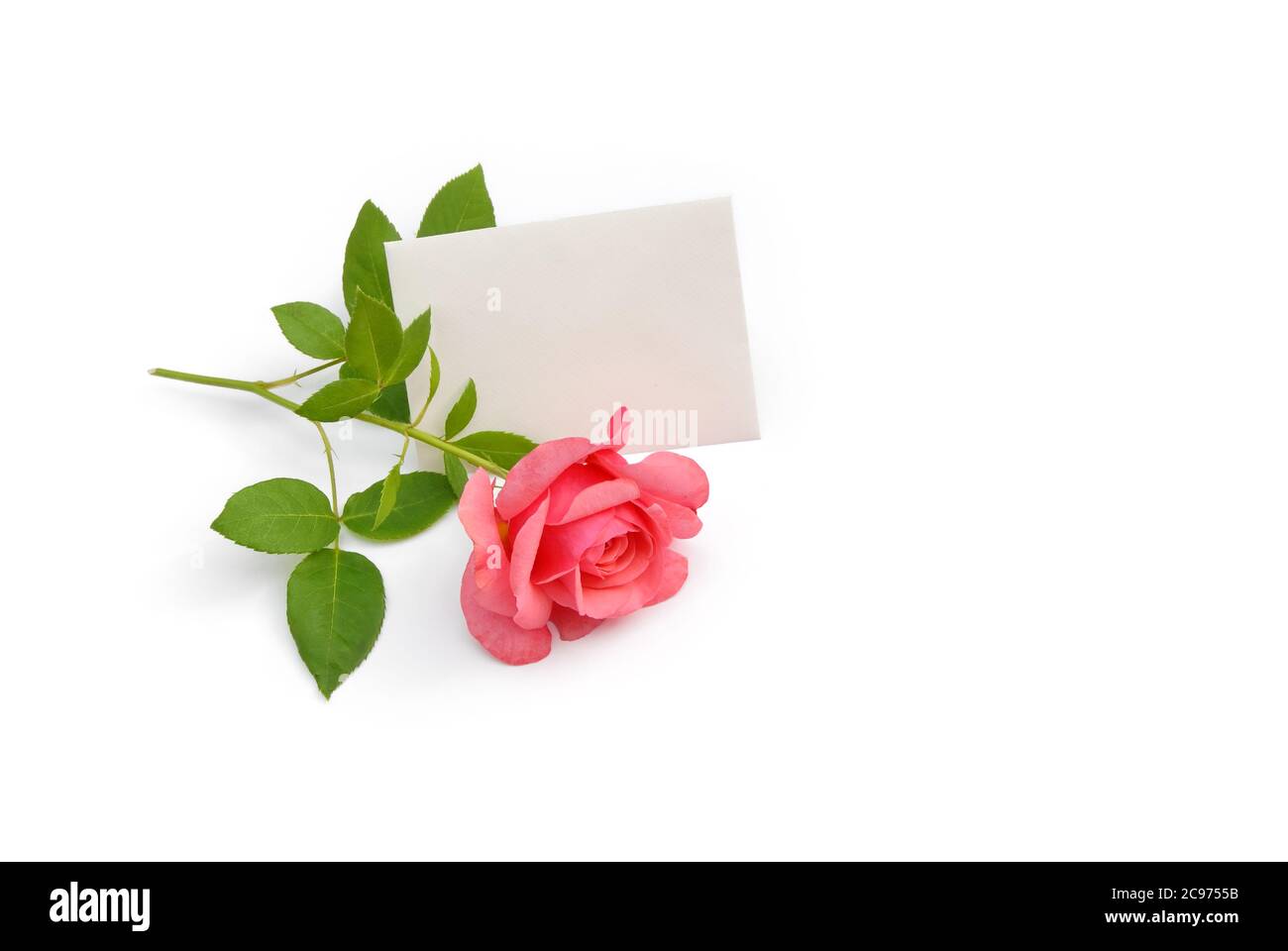 13,209 Rose Petals Dinner Images, Stock Photos, 3D objects