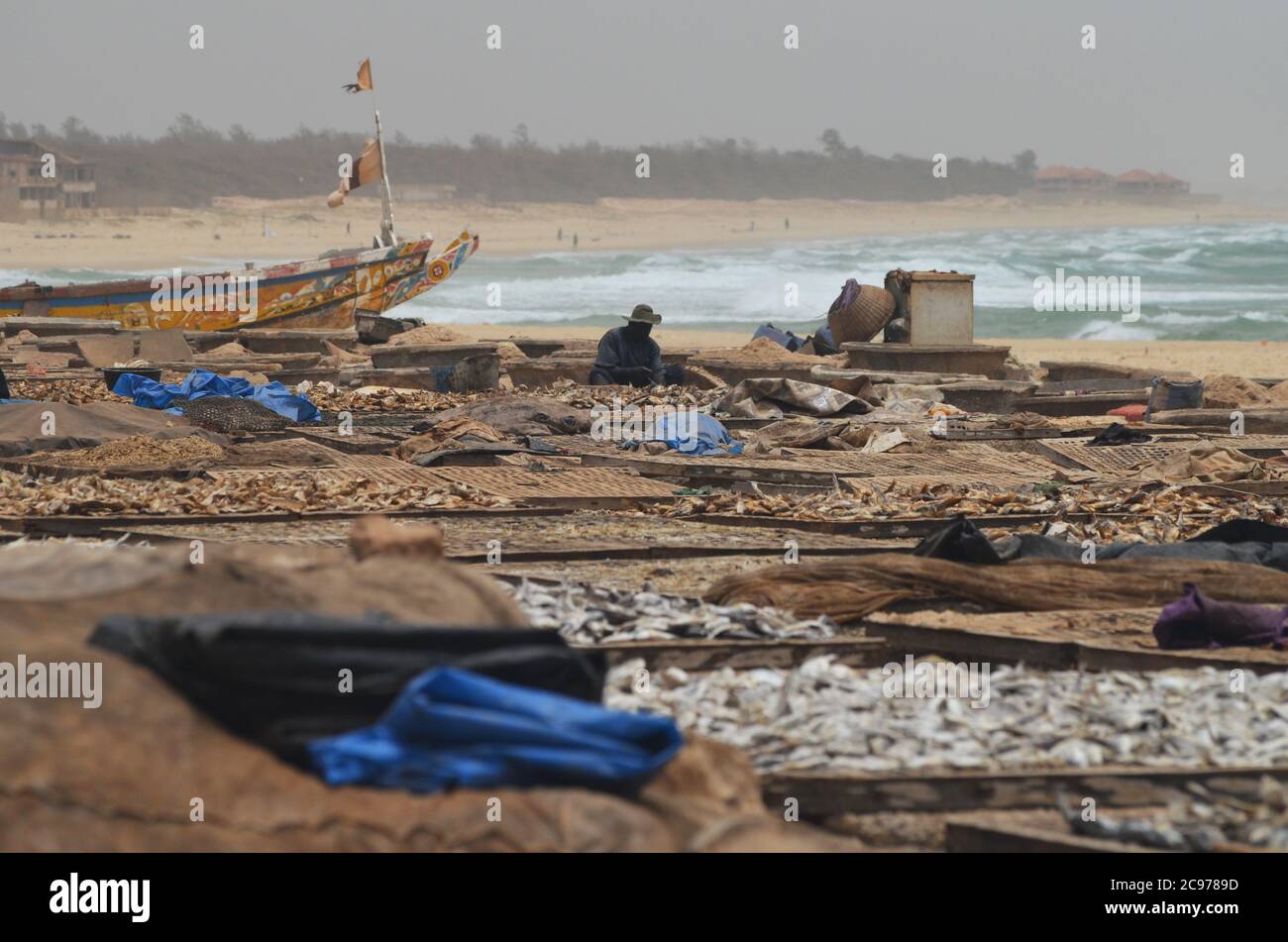Cayar Artisanal fish processing site in Cayar, Senegal Stock Photo - Alamy