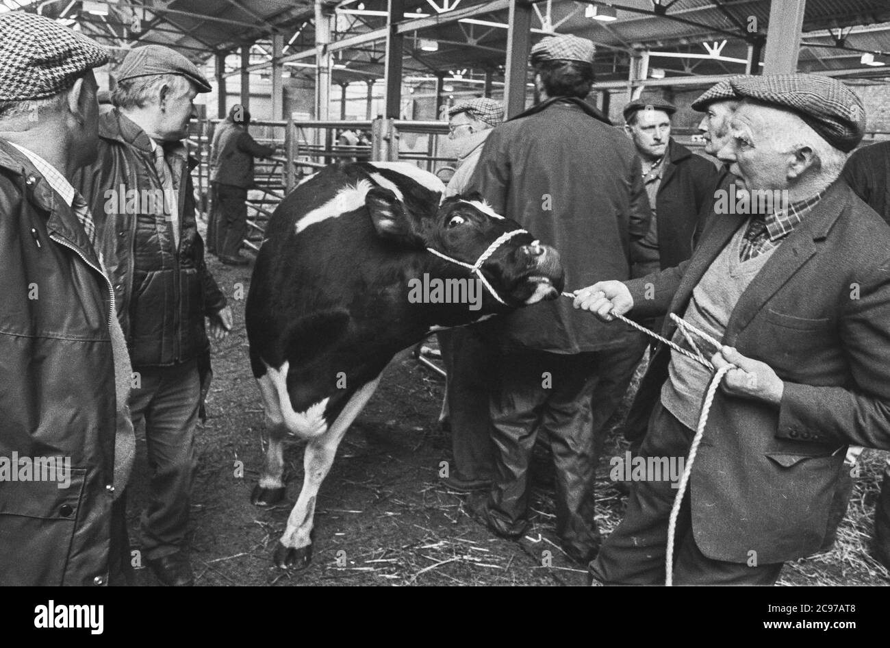 Auction mart Black and White Stock Photos & Images Alamy