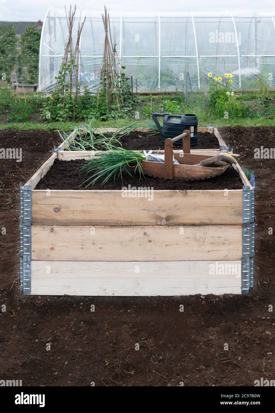 raised beds made from pallet collars on a small holding allotment