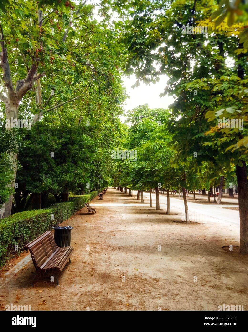 Beautiful park with foliage trees and benches Stock Photo - Alamy