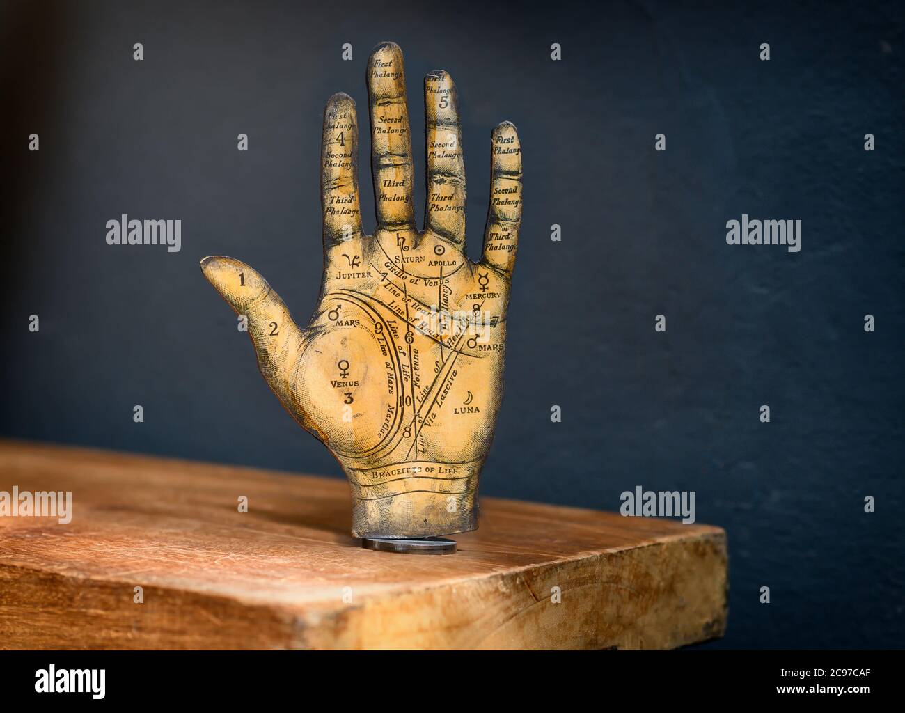 Hand palm lines hi-res stock photography and images - Alamy