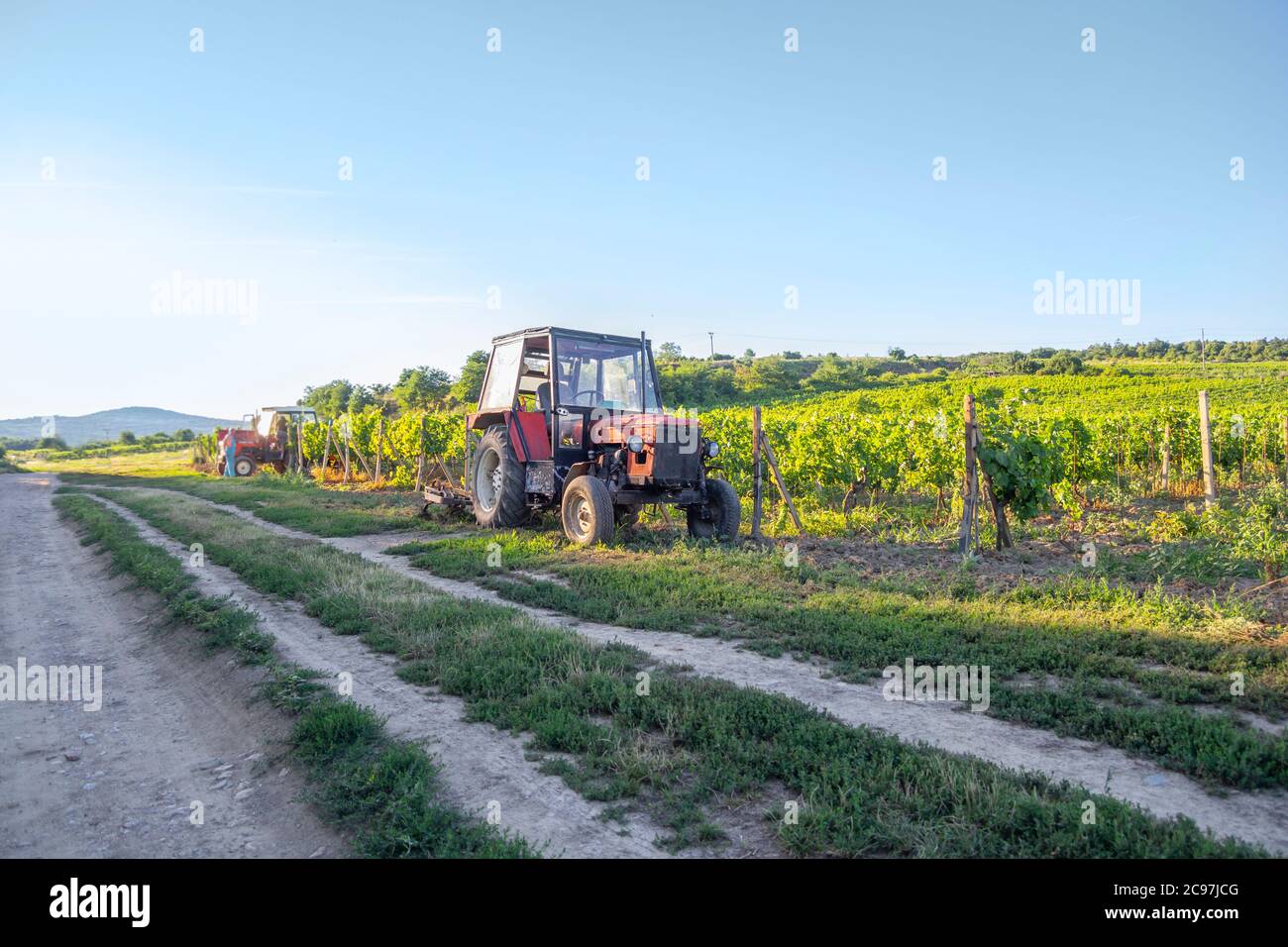 tractor in vineyards on summer day with blue sky Stock Photo