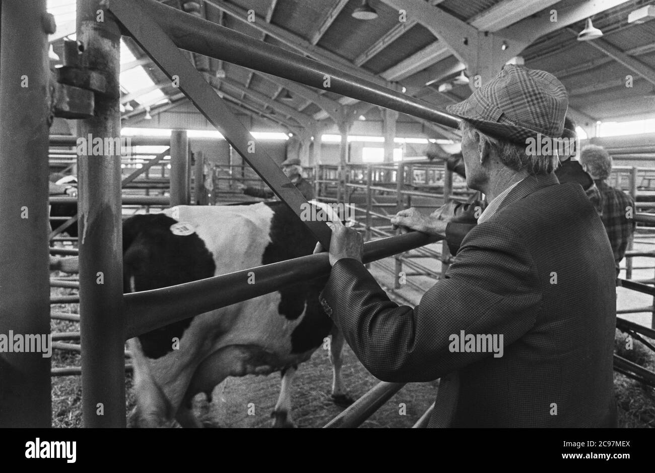 thomas-gilmour-black-and-white-stock-photos-images-alamy