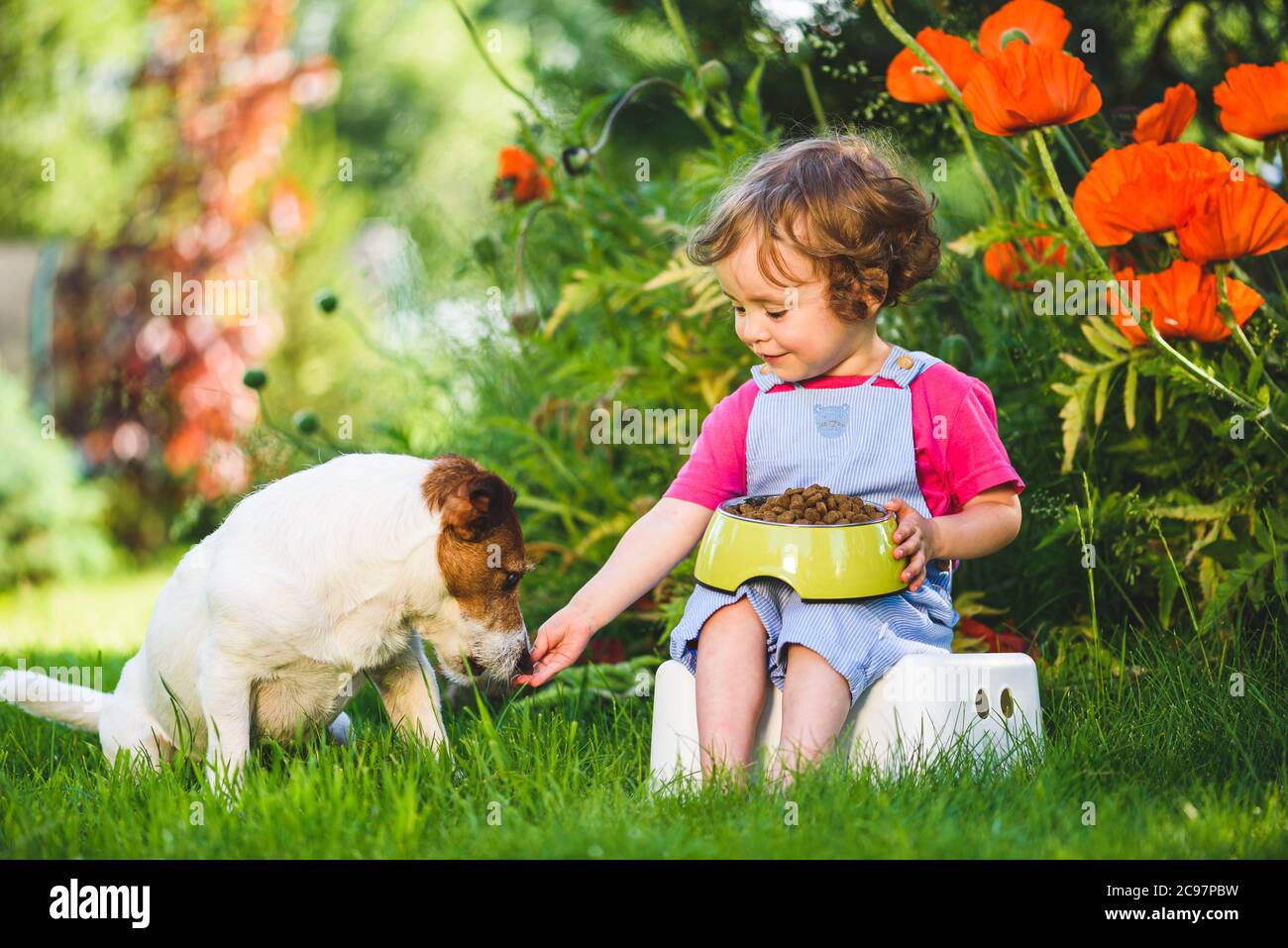 Little girl taking care of her pet feeds dog from bowl with dry food Stock Photo