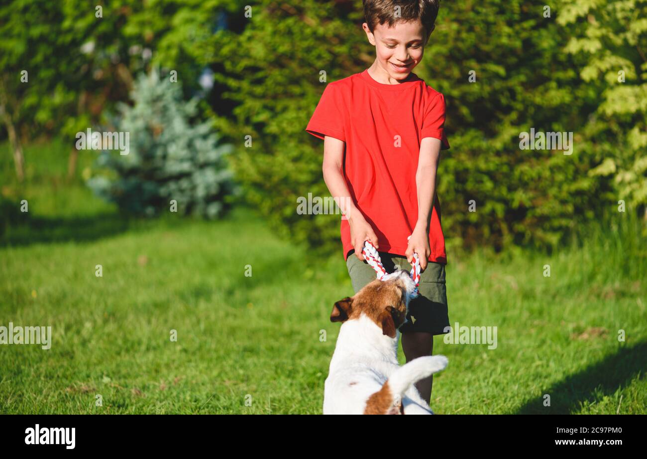 Kid boy playing with pet dog tug-of-war game in back yard garden on sunny summer day Stock Photo