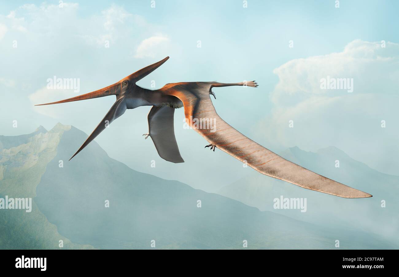 Pteranodon was a giant flying reptile which lived during