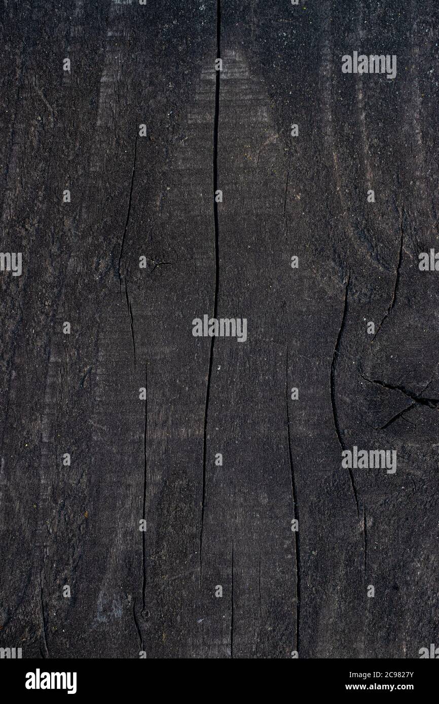 Gray wood background. Dark wood texture. Stock Photo