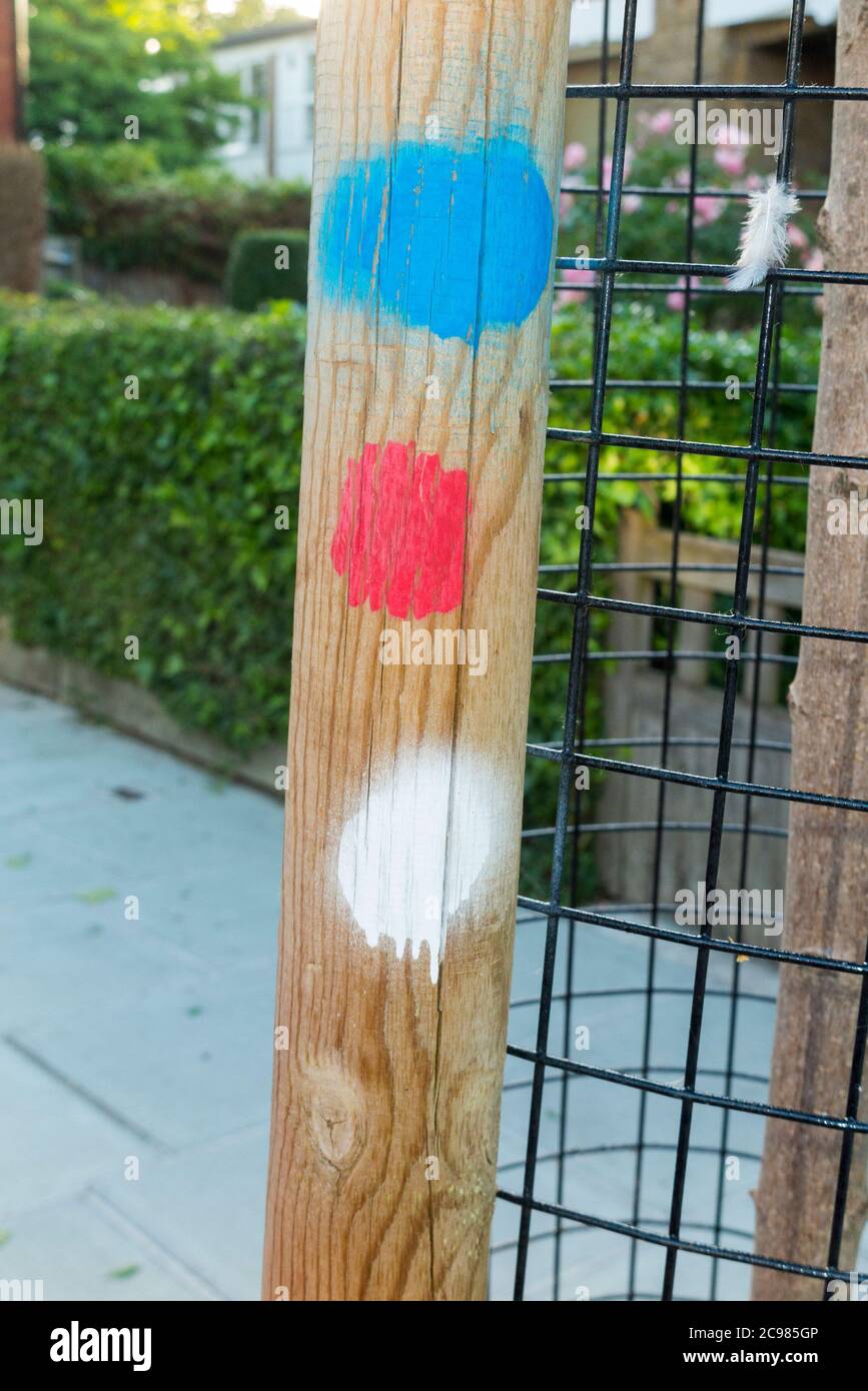 Spray-painted markings on a tree stake which could indicate information on the sapling trees status. The painted 'traffic signal' dots could show that the tree has been checked for health or that it has been watered over several intervals of time. UK (119) Stock Photo