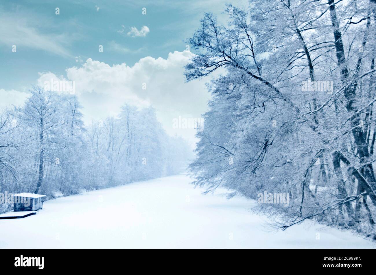 winter landscape with trees covered with snow Stock Photo - Alamy