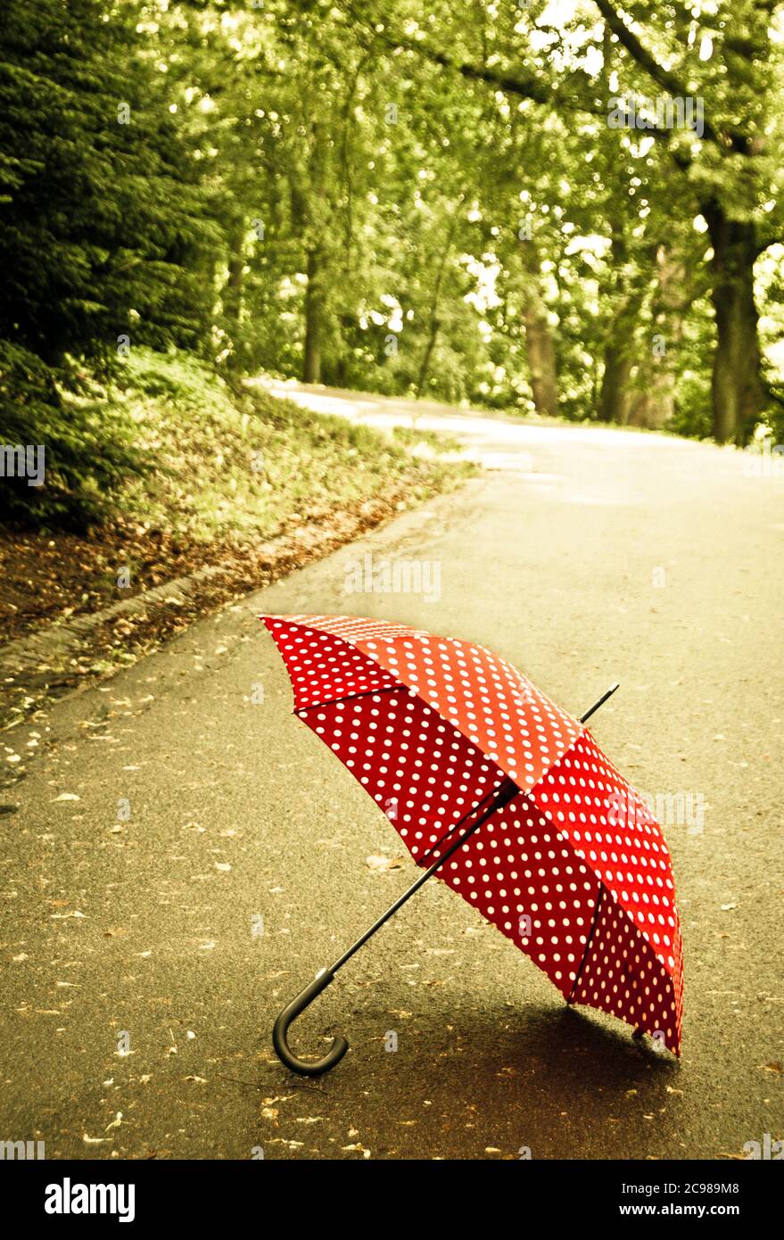red polka dot umbrella lying on the road Stock Photo