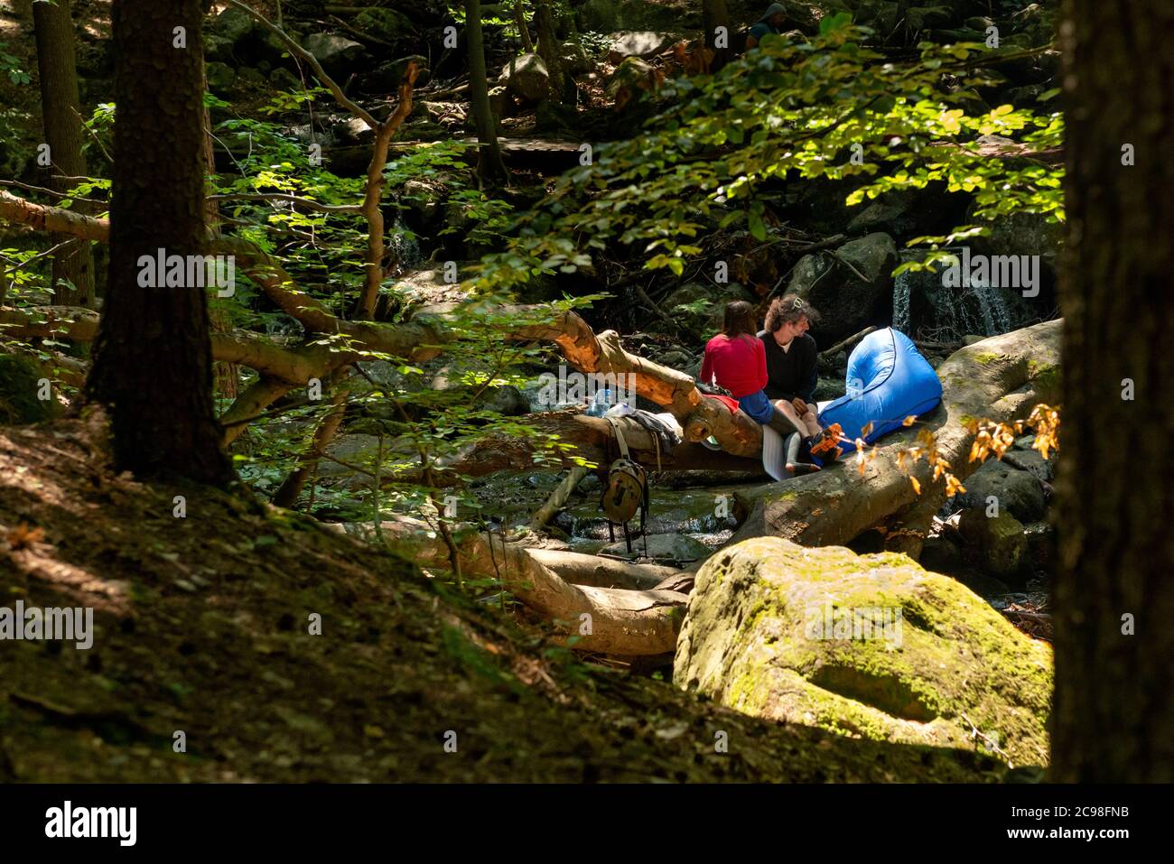 Couple of hikers relaxing on fallen tree log over mountain river creek stream in sunny summer as shinrin yoku forest bathing and nature escapism. Stock Photo