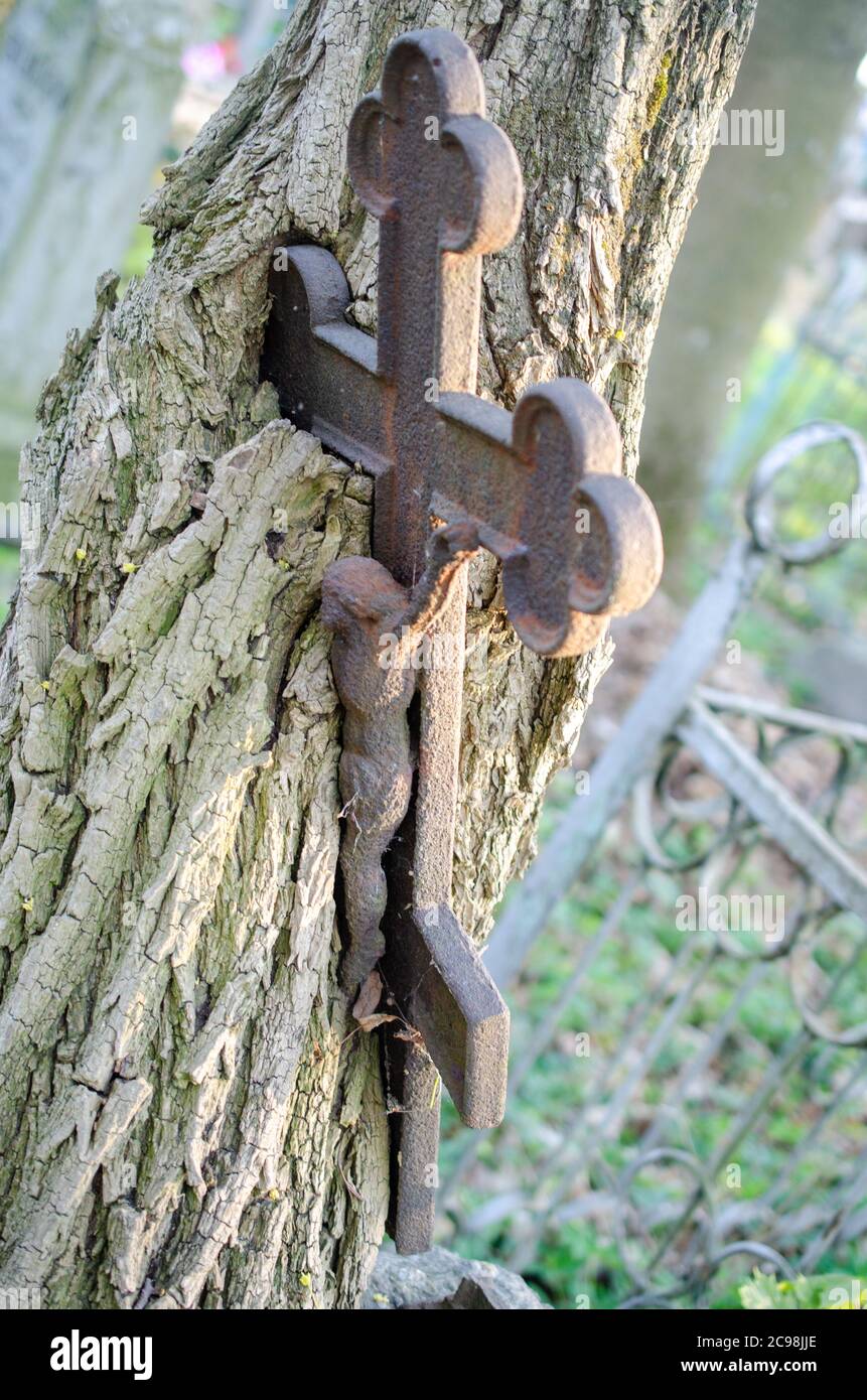 The Christian cross of the grave is rooted in a tree Stock Photo - Alamy