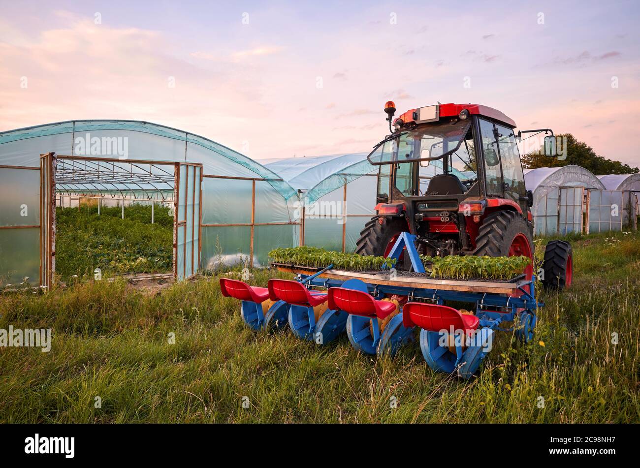 Manual seedling planter mounted to a tractor in front of greenhouses at sunset. Stock Photo