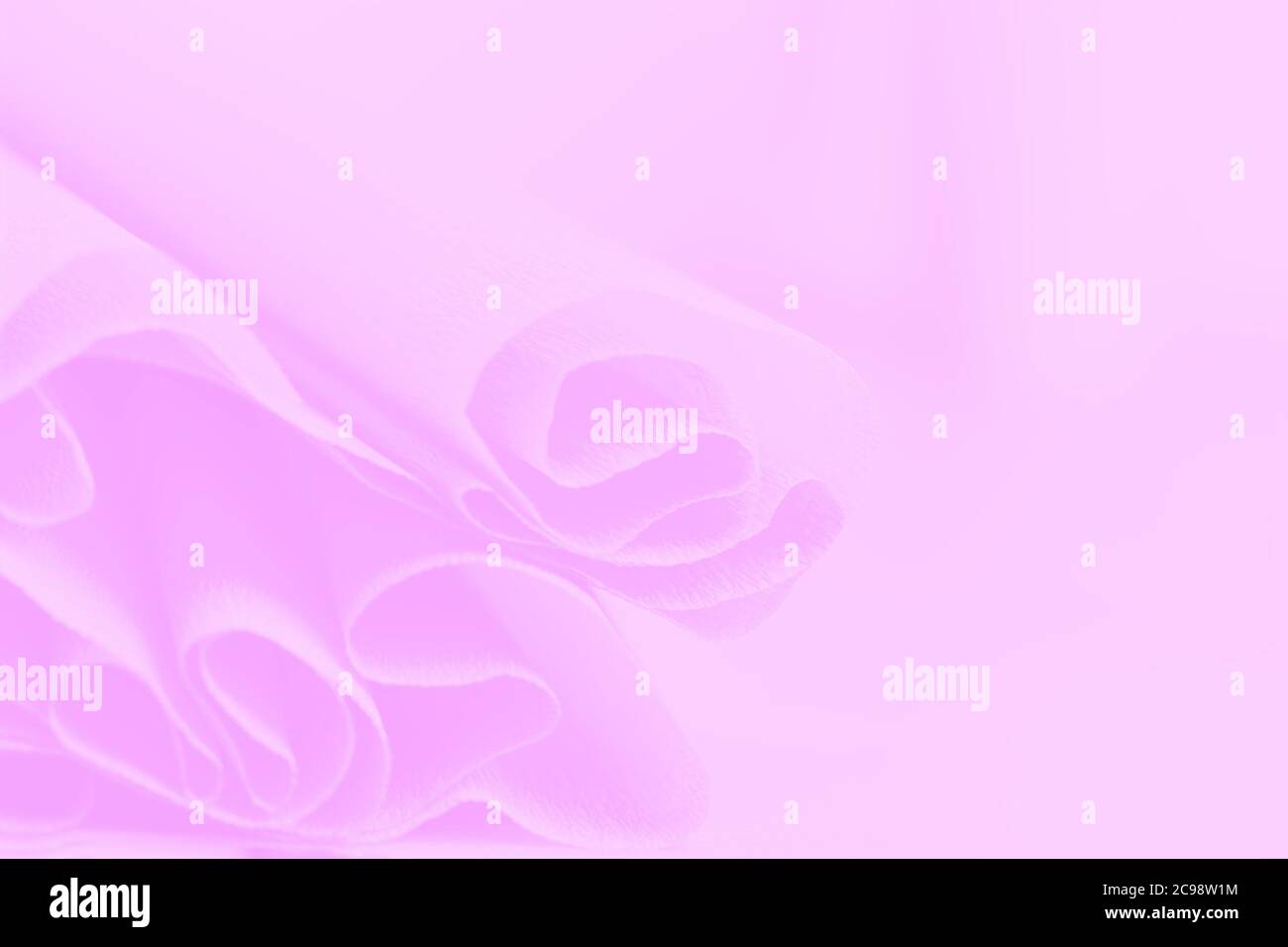 Pink gradient background, soft wrapping paper, abstract blurred background Stock Photo