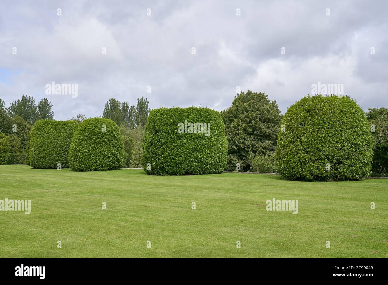 Trees in the National War Memorial Gardens at Islandbridge, Dublin city