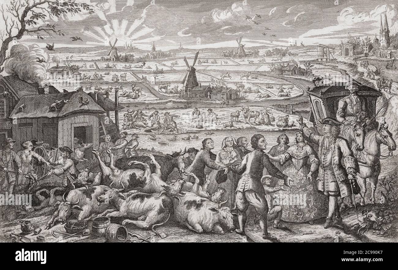 An outbreak of rinderpest in Holland in 1745: farmers and a landlord in discussion in front of a pile of dead cattle.   Rinderpest, an infectious viral disease which spread amongst livestock herds with high mortality rates has only in the 21st century been eradicated.  After a contemporary work by Dutch engraver Jan Smit. Stock Photo