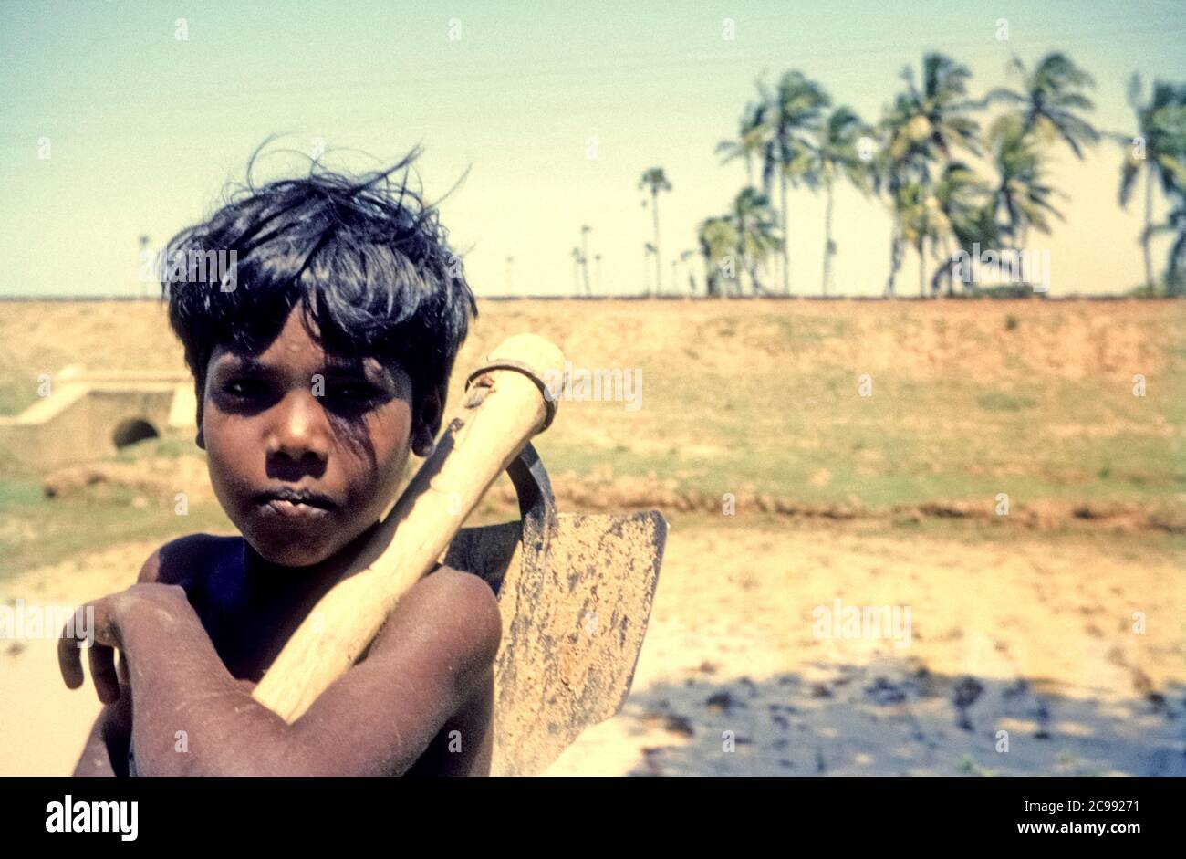A young boy stands with a tool for working the soil on a paddy field and looks into the camera. Tamil Nadu, India, 1962 Stock Photo